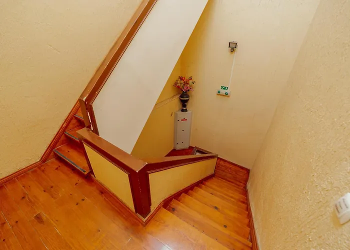 다운타운 게스트하우스 3*